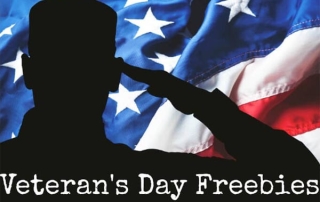 Veterans Day Freebies 2015